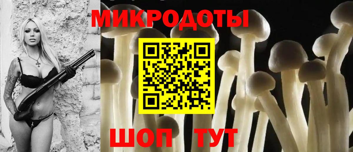 Псилоцибиновые грибы GOLDEN TEACHER Карачаевск