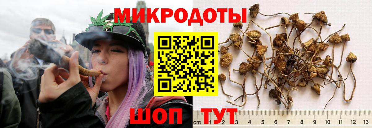 Псилоцибиновые грибы Cubensis  Вход с VPN  Карачаевск 